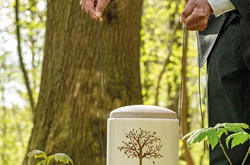 Waldbestattung Bestattungsarten bei Heimkehr Bestattungen